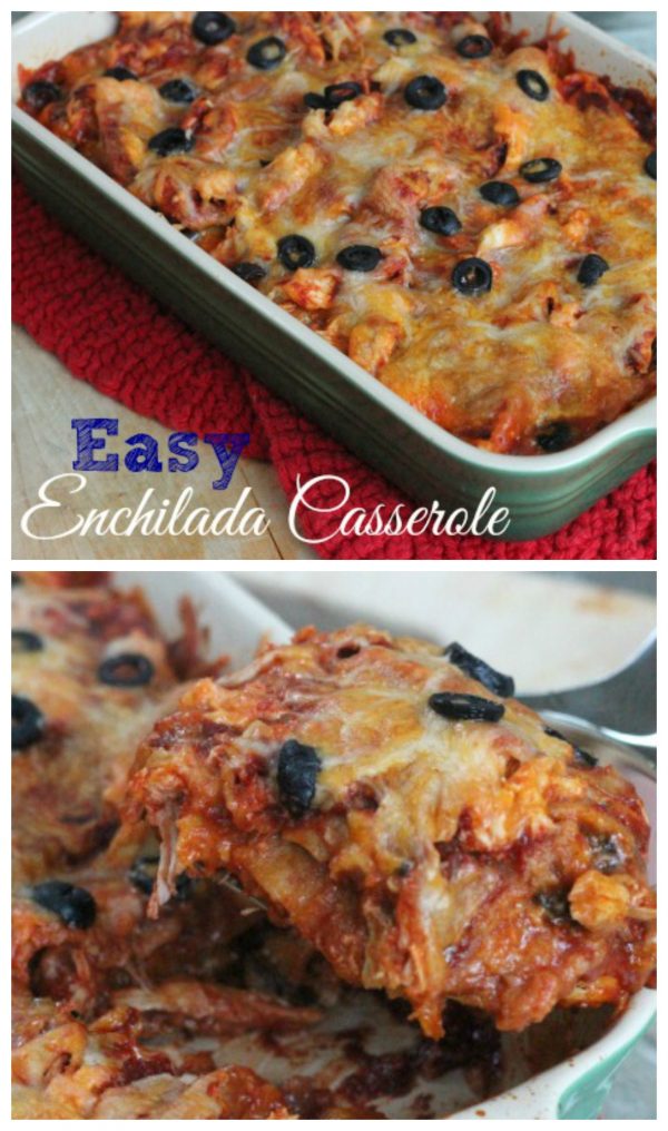 Easy Enchilada Casserole makes for tasty dinner using only 5 ingredients!