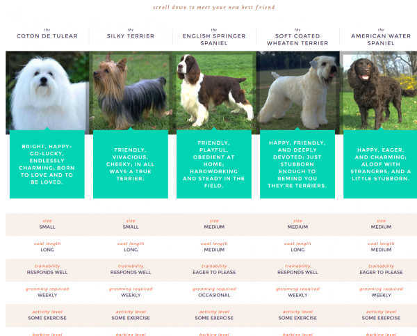 Breed selection