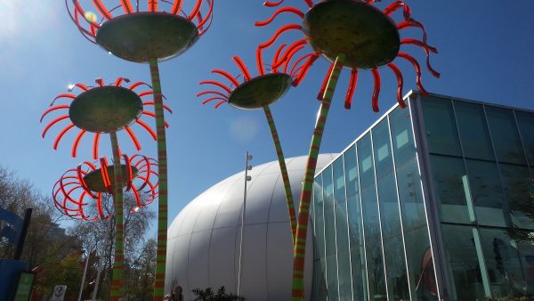 Seeing Seattle with Kids: The Top 5 Attractions You Need to See!