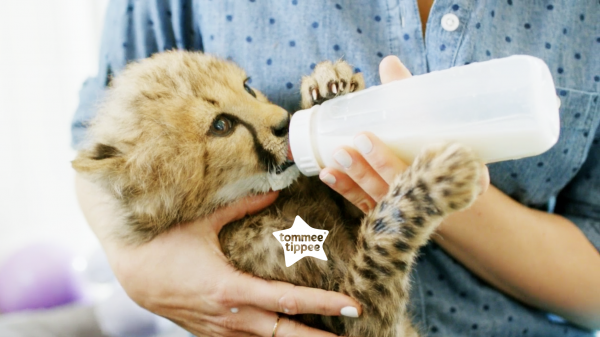 Tommee Tippee's Cutest Cause and how you can help!