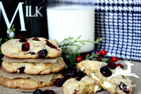 cranberry-pecan-white-chocolate-chunk-cookies-from-the-everyday-home-blog