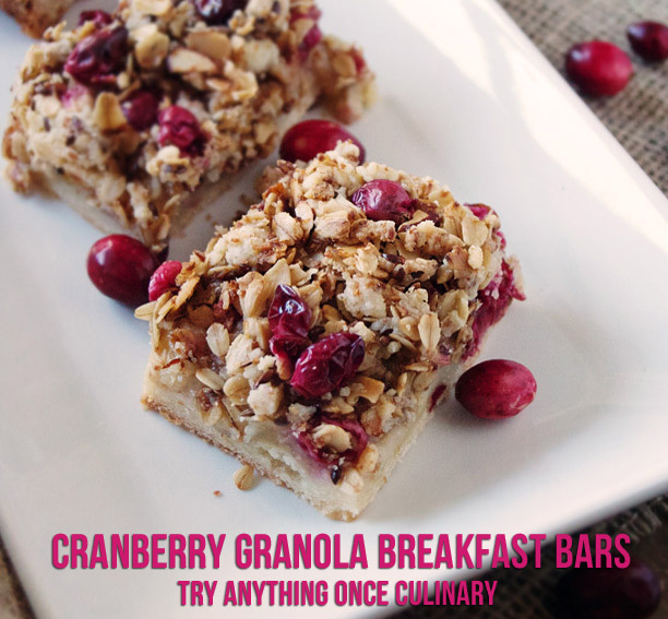 Cranberry Granola Breakfast Bars from Try Anything Once Culinary