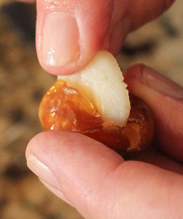 Date stuffed with a water chestnut