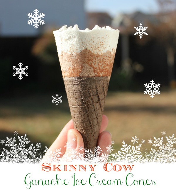 Skinny Cow Ganache Ice Cream Cones #SkinnyCowGanache #shop