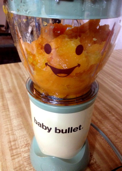 Baby Bullet with Butternut Squash Puree