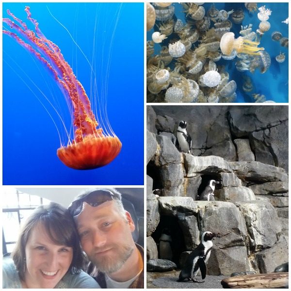 Monterey Bay Aquarium