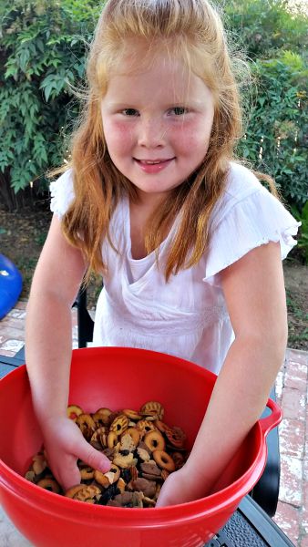 Healthy Trail Mix for Kids