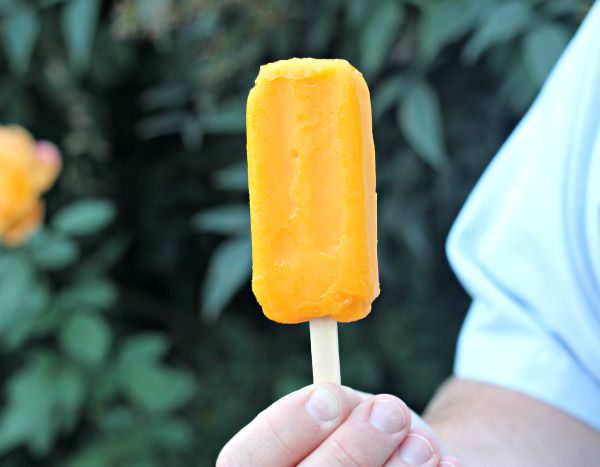 Fruttare Fruit Bars for a Refreshing Treat