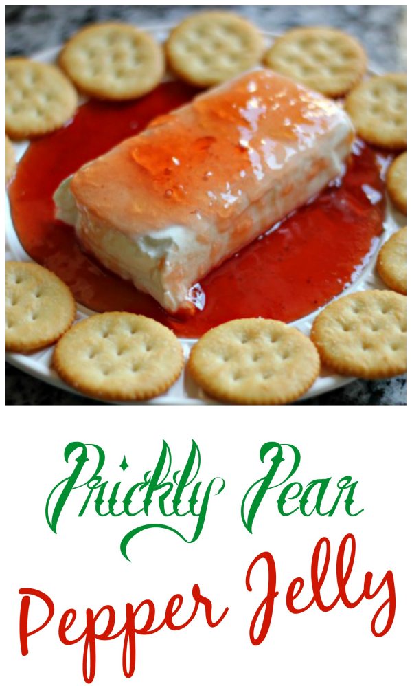 Homemade Prickly Pear Pepper Jelly which makes for one of THE BEST appetizers, served over cream cheese, and with crackers.