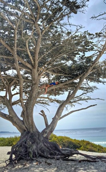 Best Photo Spots in Carmel and Monterey