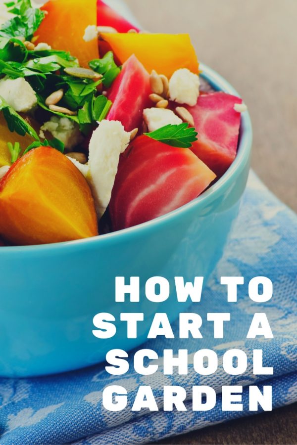 Why and How to Start a School Garden