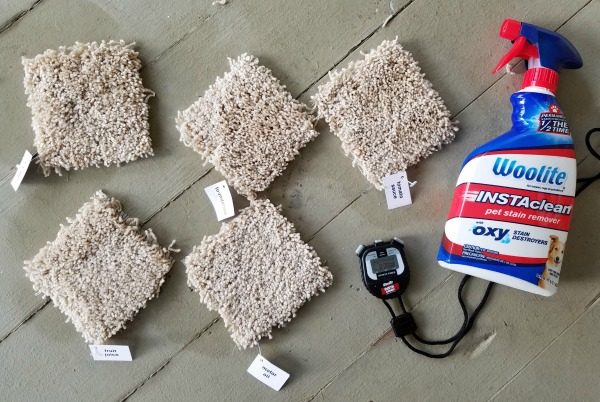 Fast Action Stain Removal with Woolite INSTAclean Stain Remover