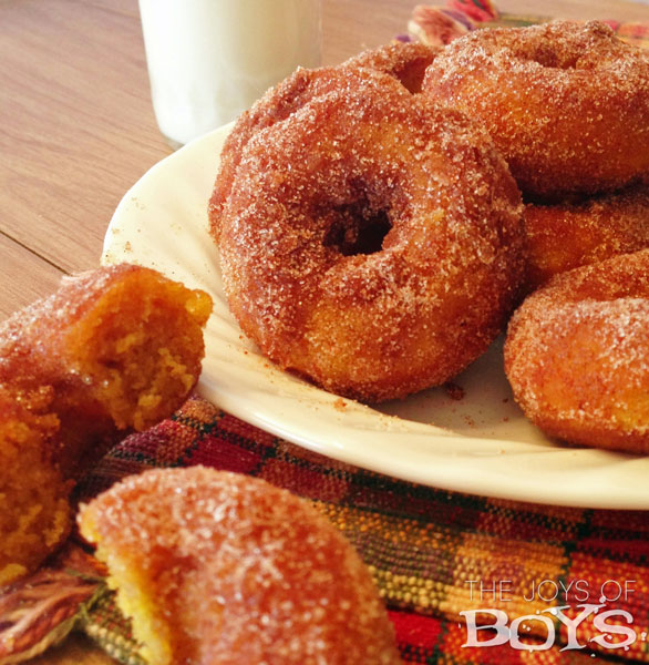 baked-pumpkin-spice-donuts-from-the-joys-of-boys