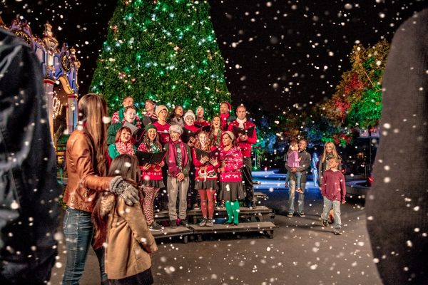 Family Fun for Everyone at Great America's Winterfest