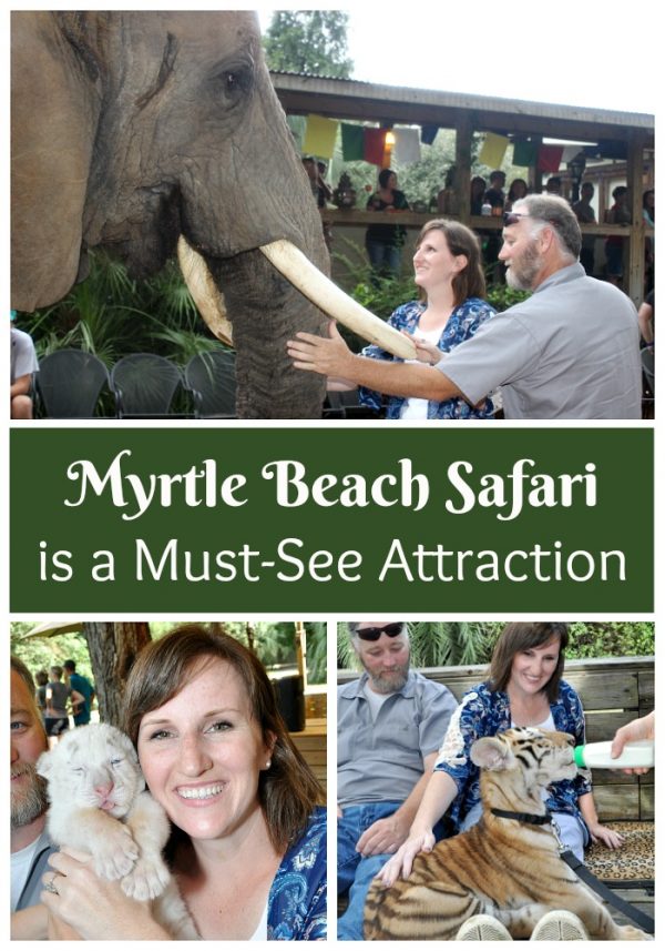 Myrtle Beach Safari a Must-See Attraction