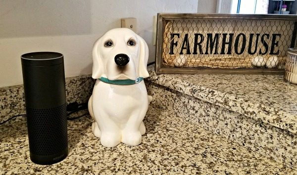 Amazon Echo Plus for Mother's Day Gifting